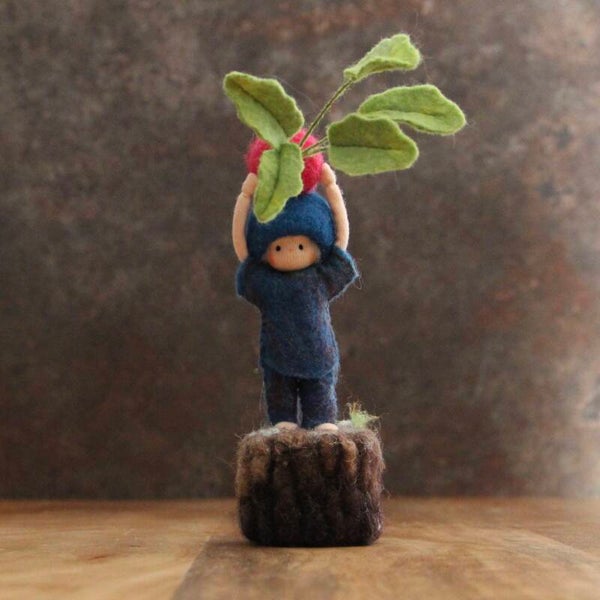 Radish harvest