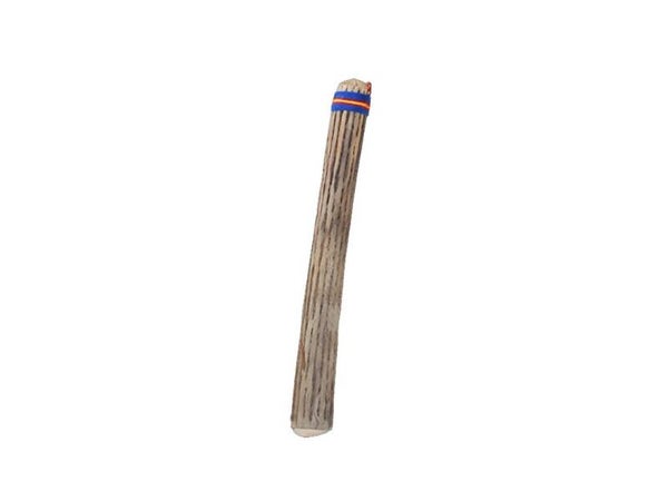 Cactus Rainstick 50 cm - Muziekonderwijs