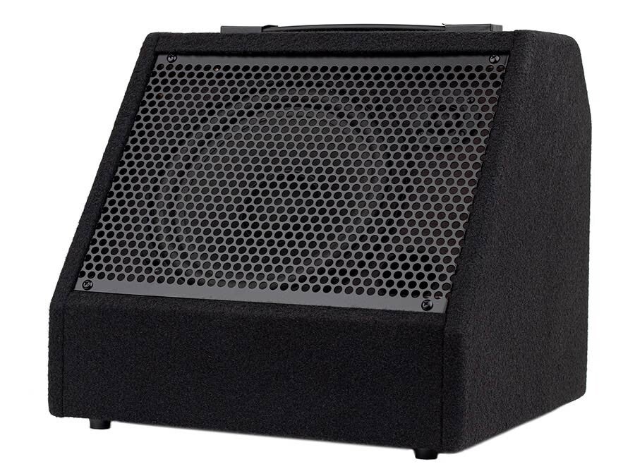DDM-30 Hayman digital drum monitor