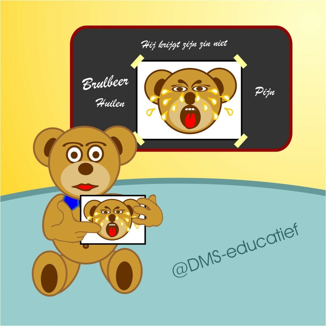 Les 'Gevoelens en emoties'