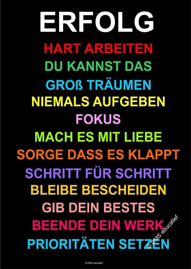 Poster 'ERFOLG' A3 | DMS educatief lesmateriaal