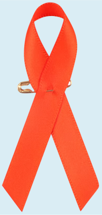 Oranje lintje – Koningsdag & nationale momenten op school