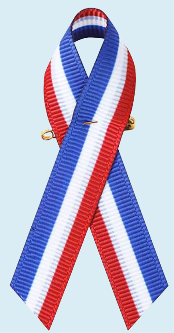 Rood-wit-blauw lintje – Vrijheid & democratie op school
