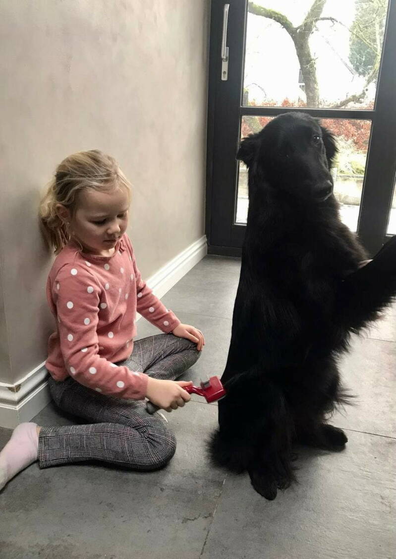 Coda wordt geborsteld