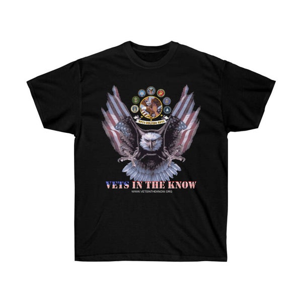 VETS IN THE KNOW FLYING EAGLE LOGO