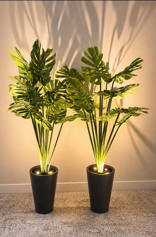 Plante monstera lumineuse avec projecteur DEL / Illuminated Monstera Plant 4.5’