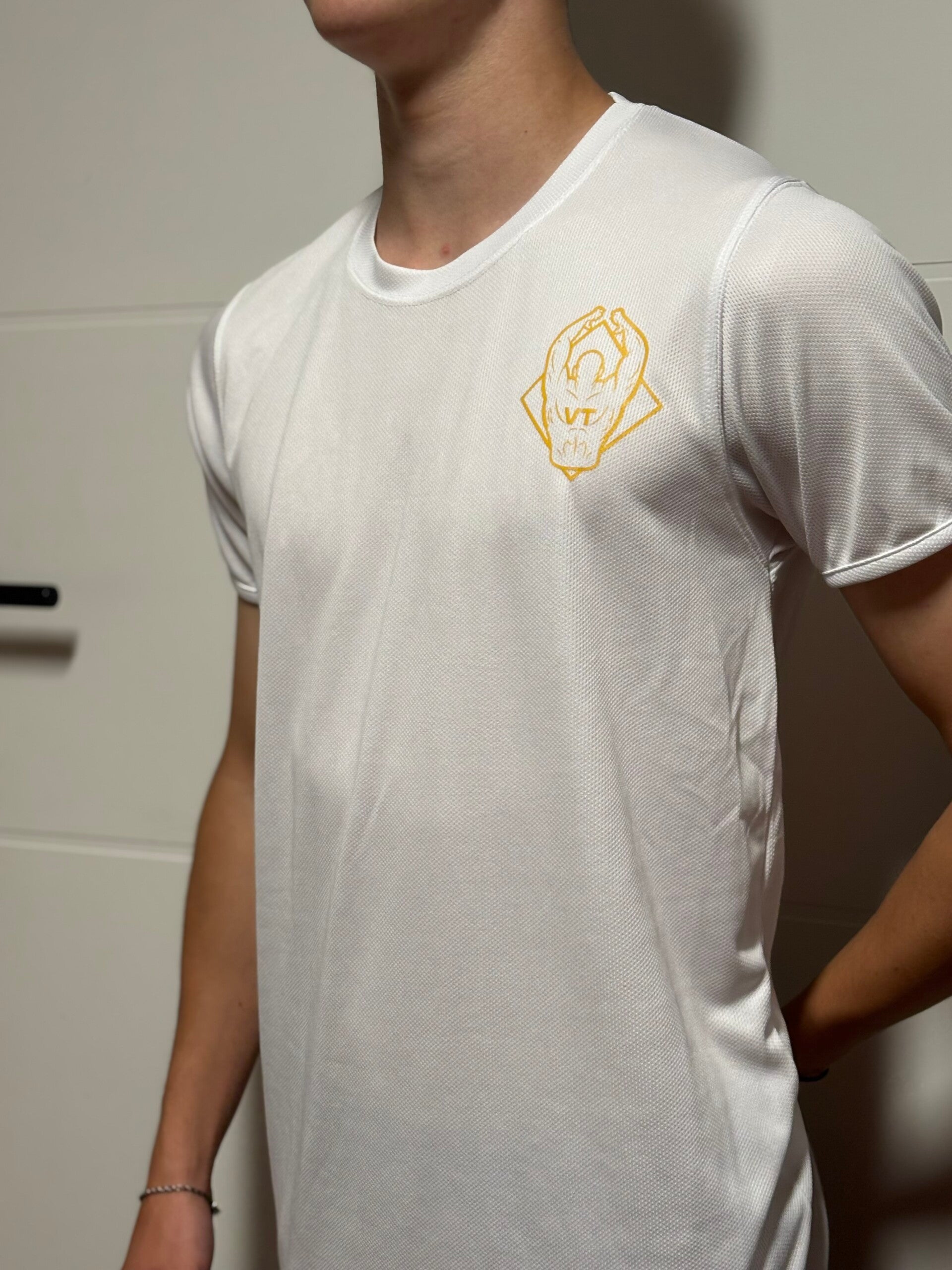 VT gym shirt (Heren)