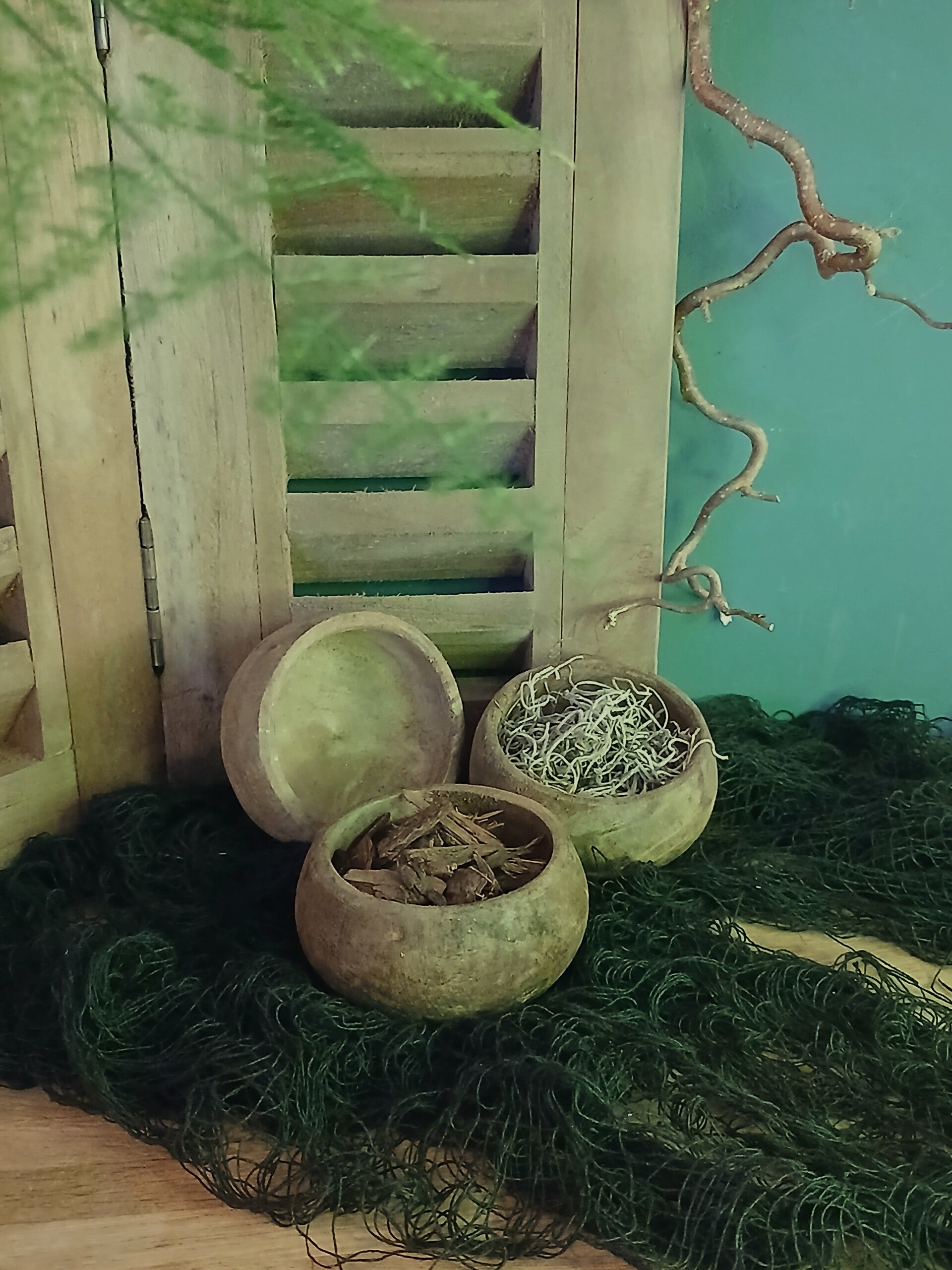 Landelijke decoratie-bakjes met natuurlijke vulling