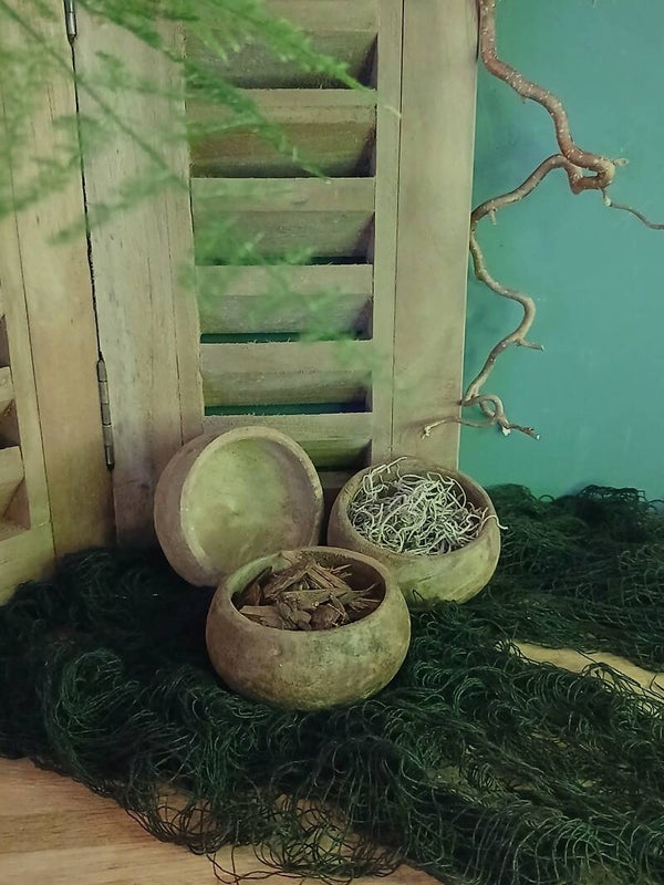 Landelijke decoratie-bakjes met natuurlijke vulling