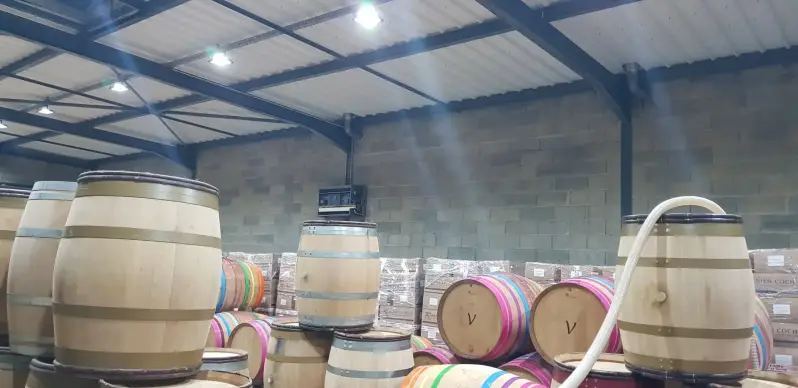 Rangement de tonneaux en bois dans une cuverie rénovée à Meursault.