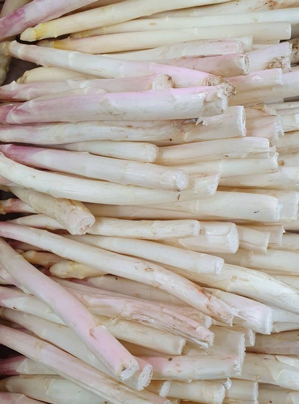 Asperges blanches origine France