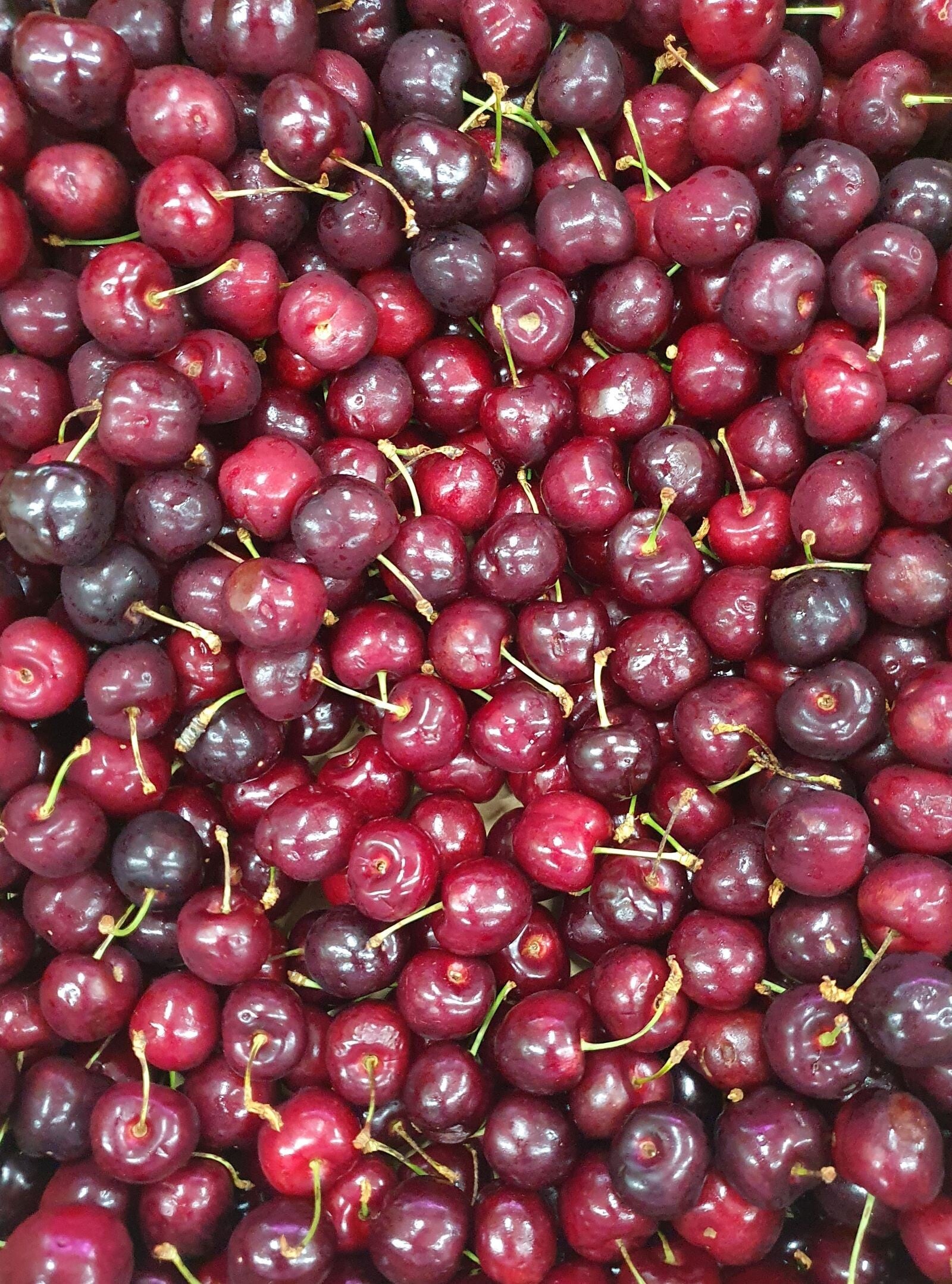 Cerises origine France