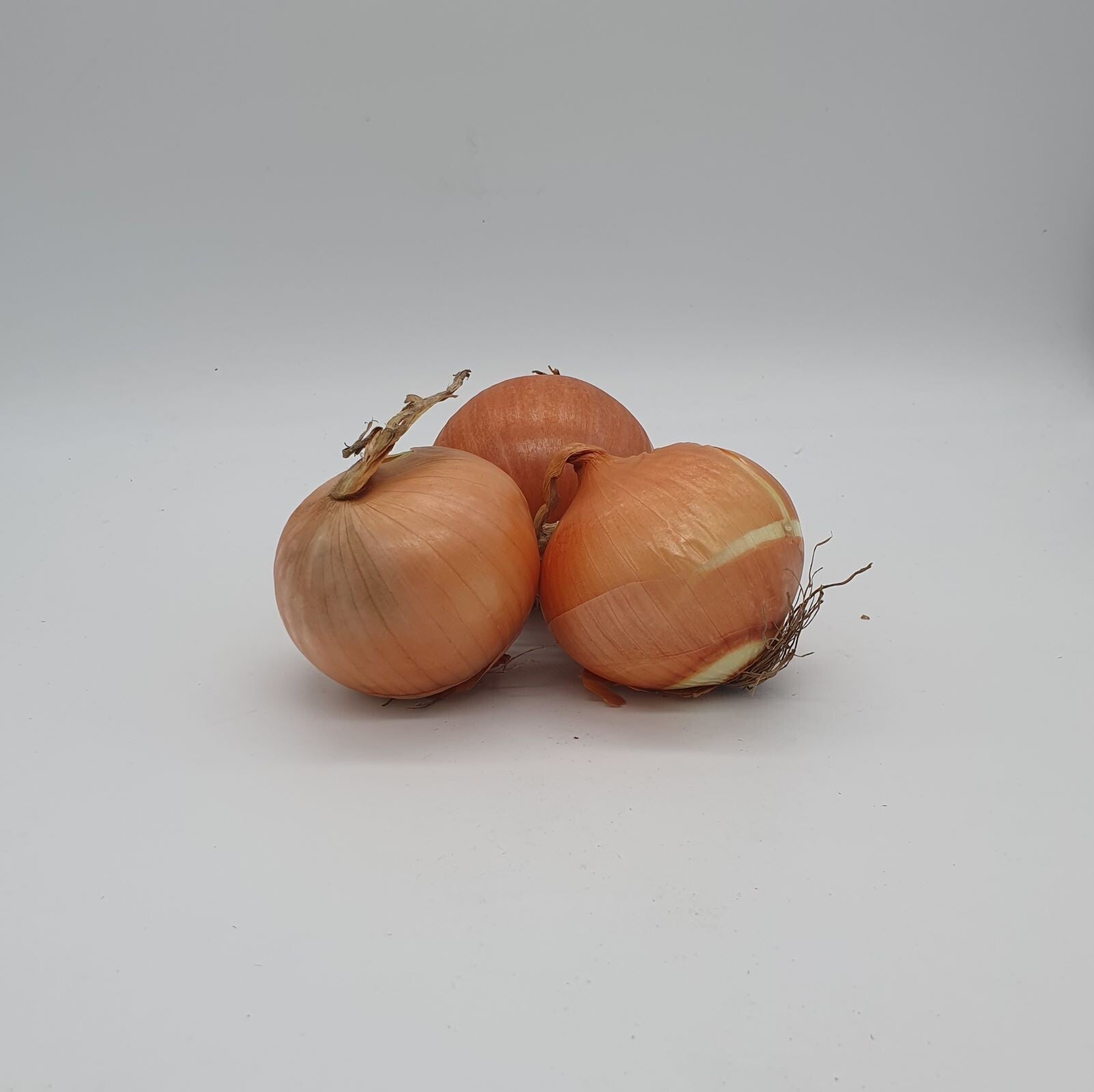 Oignons jaune origine France