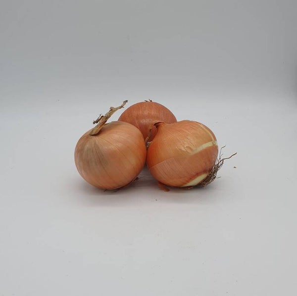 Oignons jaune origine France