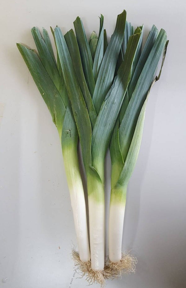 Poireaux origine France