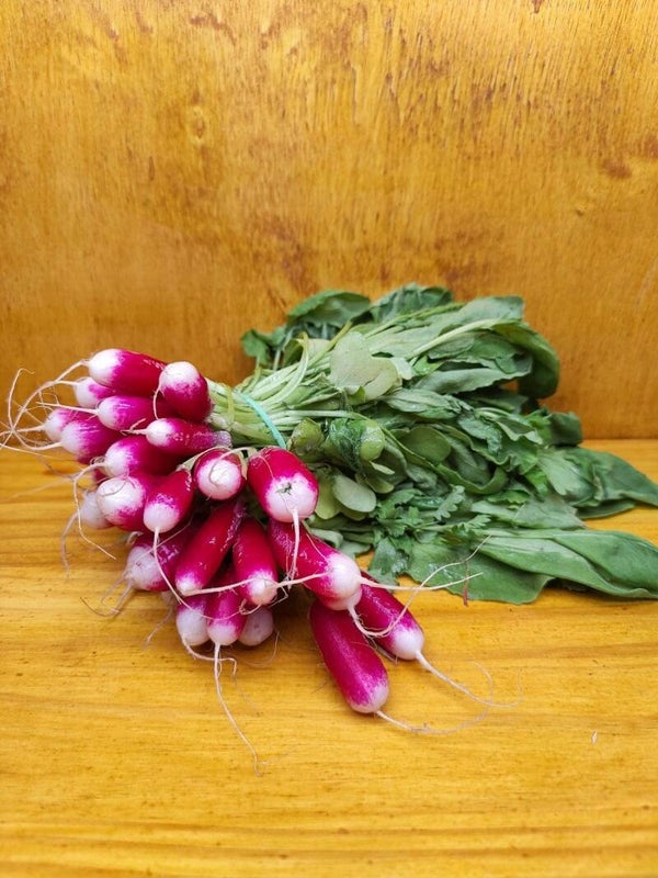 Radis origine France