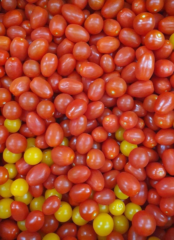 Tomates cerise origine France