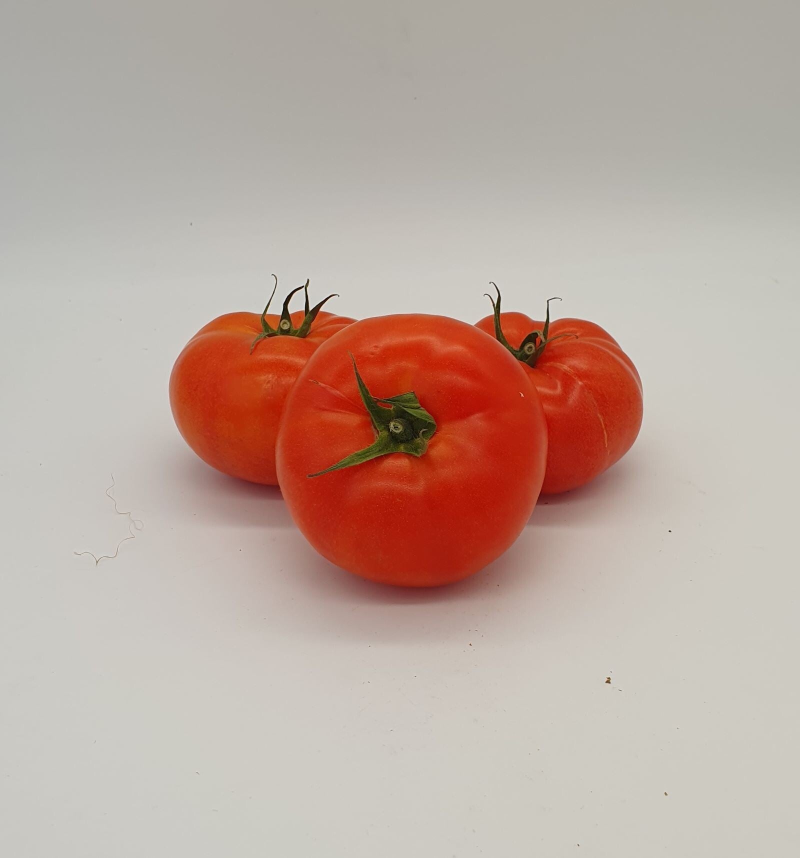 Tomates à farcir origine France