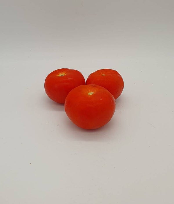 Tomates ronde origine France