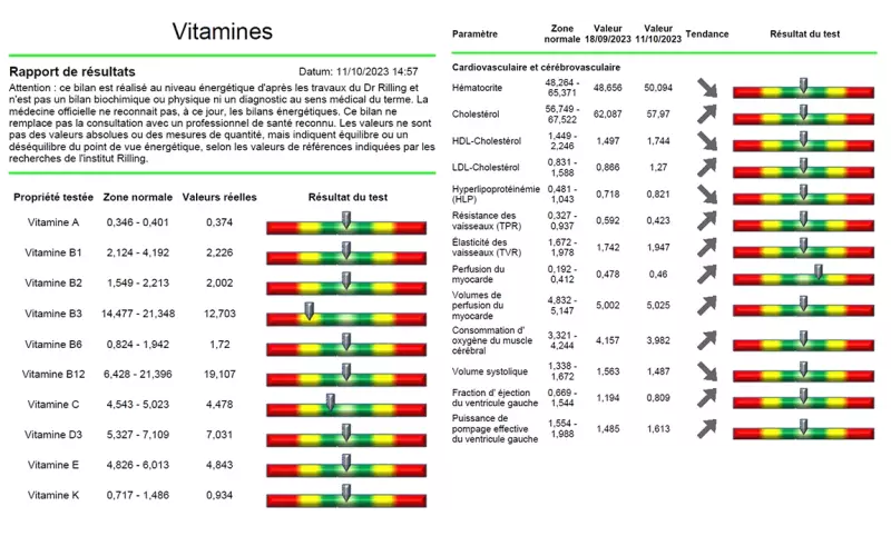 Extrait bilan Bioscan Biorésonance