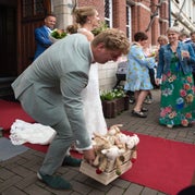 DSC_6619.jpg