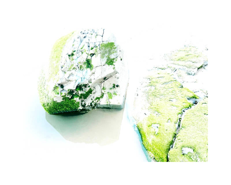 Algae 2