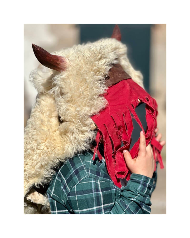 Carnaval de Sare - Il Fait Chaud / Taureau 2
