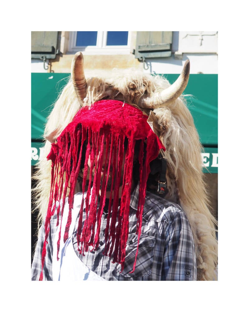 Carnaval de Sare - Taureau