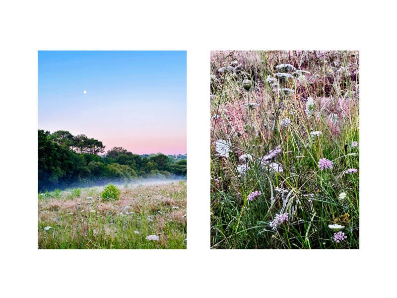 Luna Rosa 30x40 CecileFaurePhotographie Copyright  éd. 2 à 8