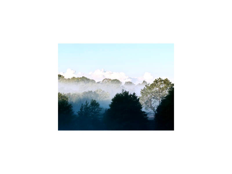 n23092025 30x40 CecileFaurePhotographie Copyright