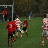IMG_8335.JPG