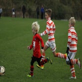 IMG_8336.JPG