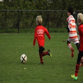 IMG_8361.JPG