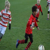 IMG_8379.JPG