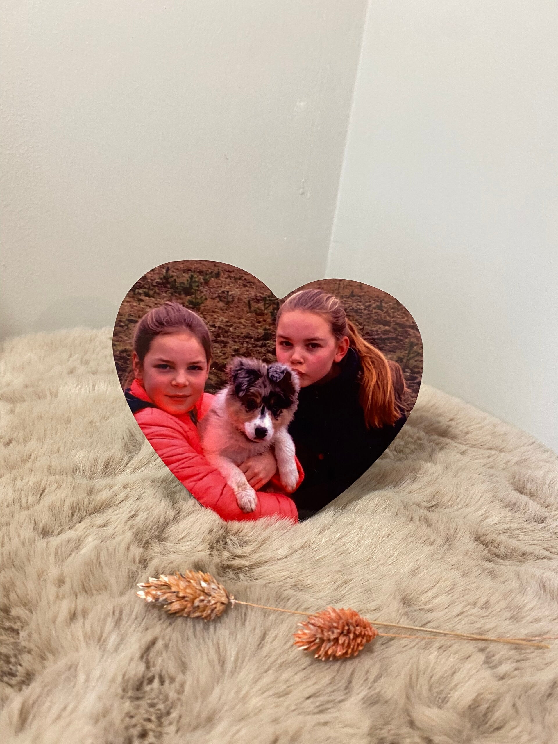 Hart fotolijst met foto