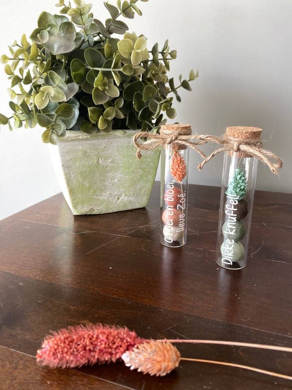 Gepersonaliseerd Glazen Buisje met Blossombs & Droogbloem | 3 Biologische Bloembommetjes