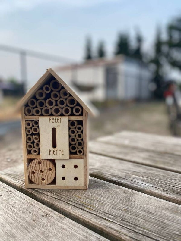 Insectenhotel met tekst Voor een BIJzondere ...