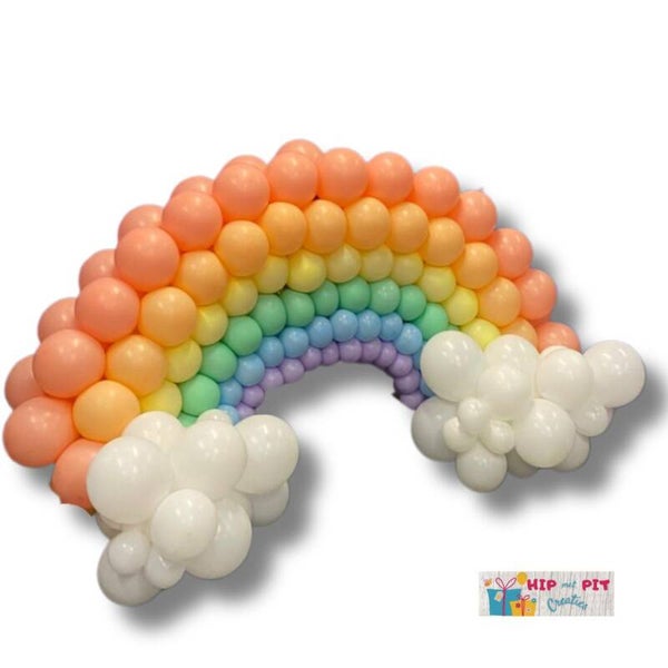 Ballonnen Regenboog