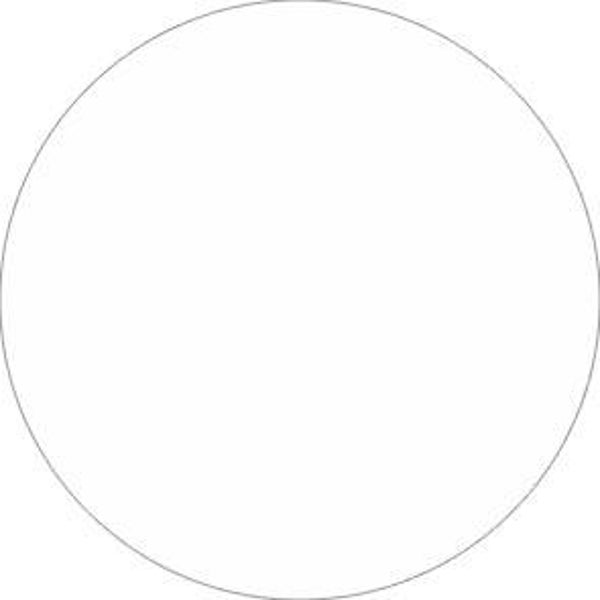 Vinyl Mat Wit 300 Ritrama