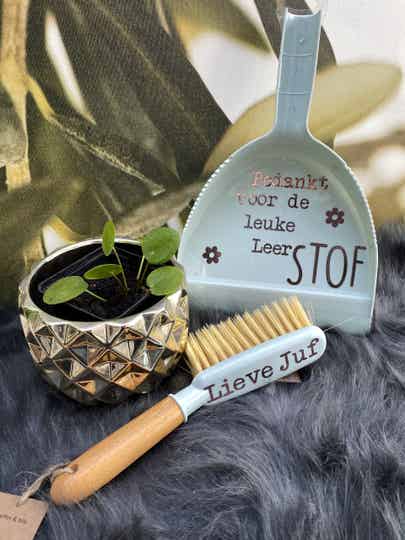 ⚠️ LAATSTE STUKS! Veger en Blik - "Bedankt voor de leerSTOF"