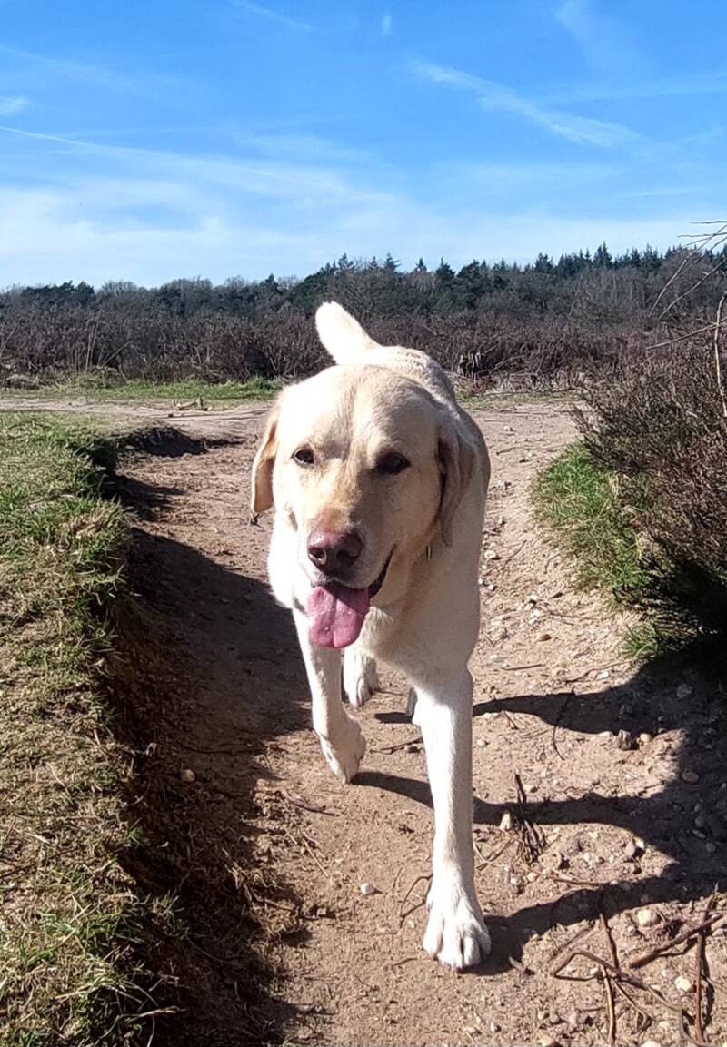 Sam