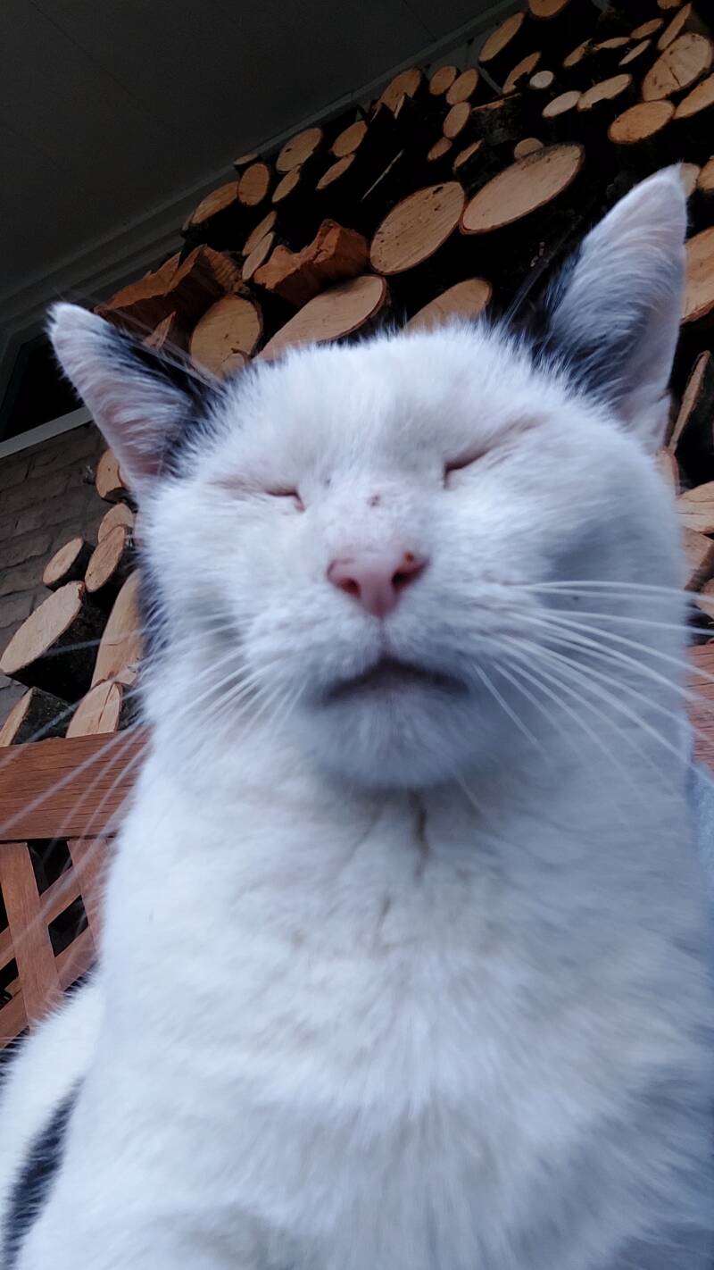 Droppie