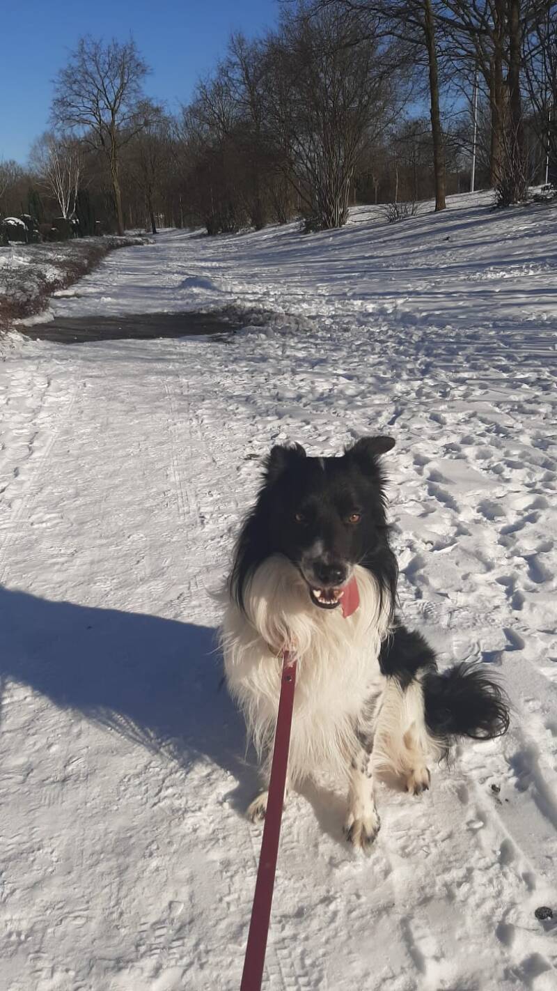 Skye