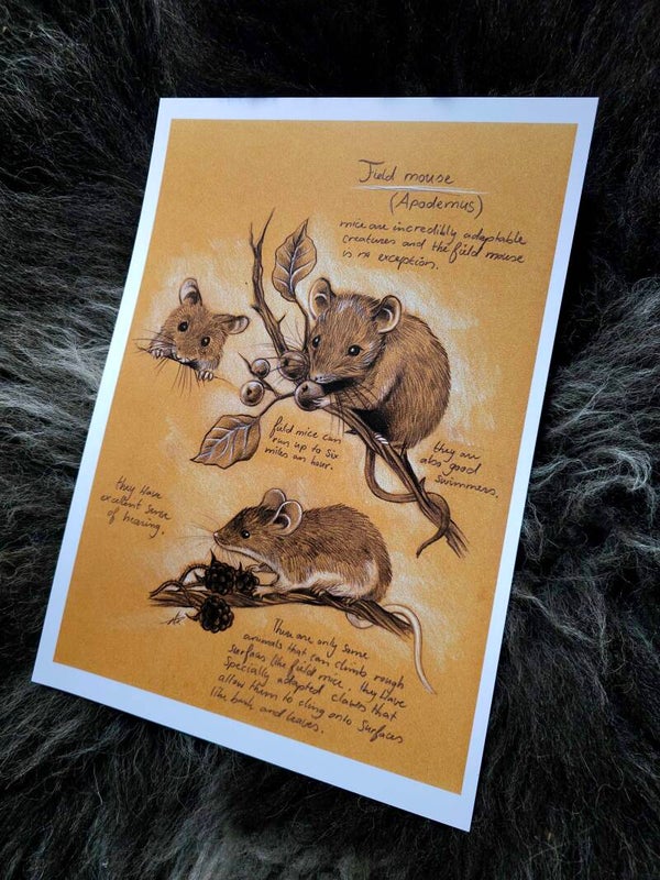 Artprint "Field mouse"