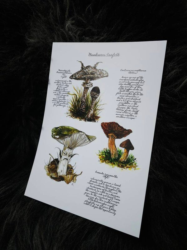 Artprint Folklore & Mythology: the Mushroom Fae