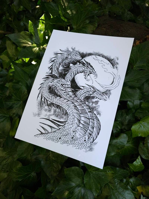 Artprint Hydra