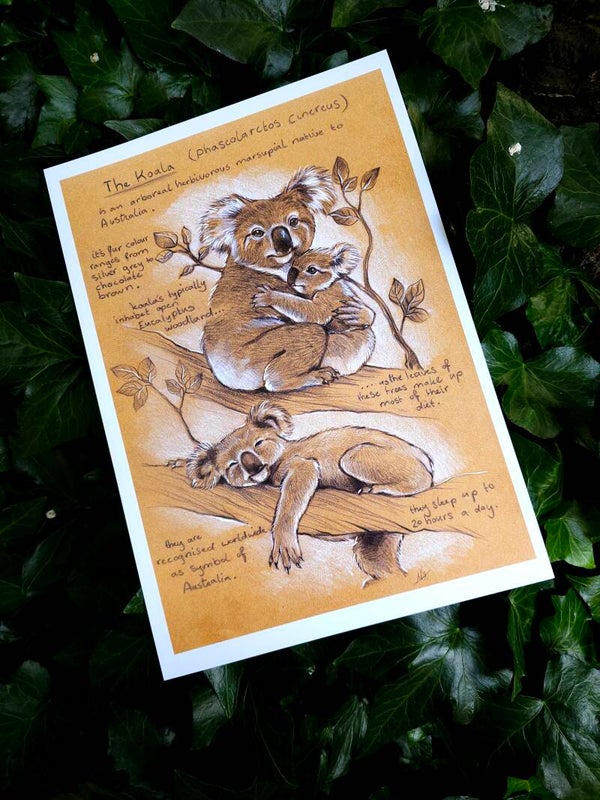 Artprint "Koala bear"