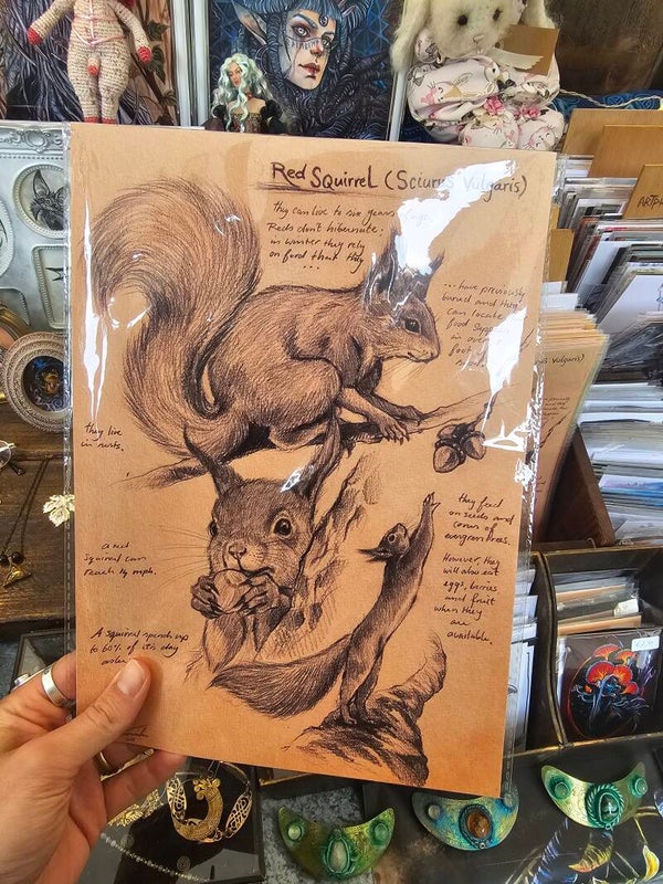 Artprint "the squirrel"