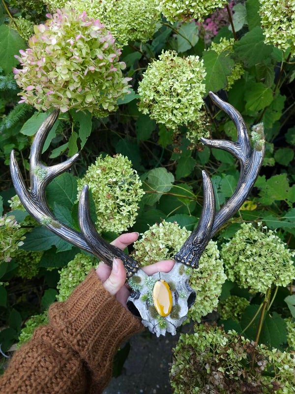 Home deco " Fake Nature skull"