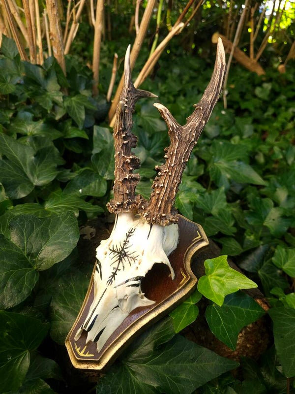 Home deco " Nordic skull"